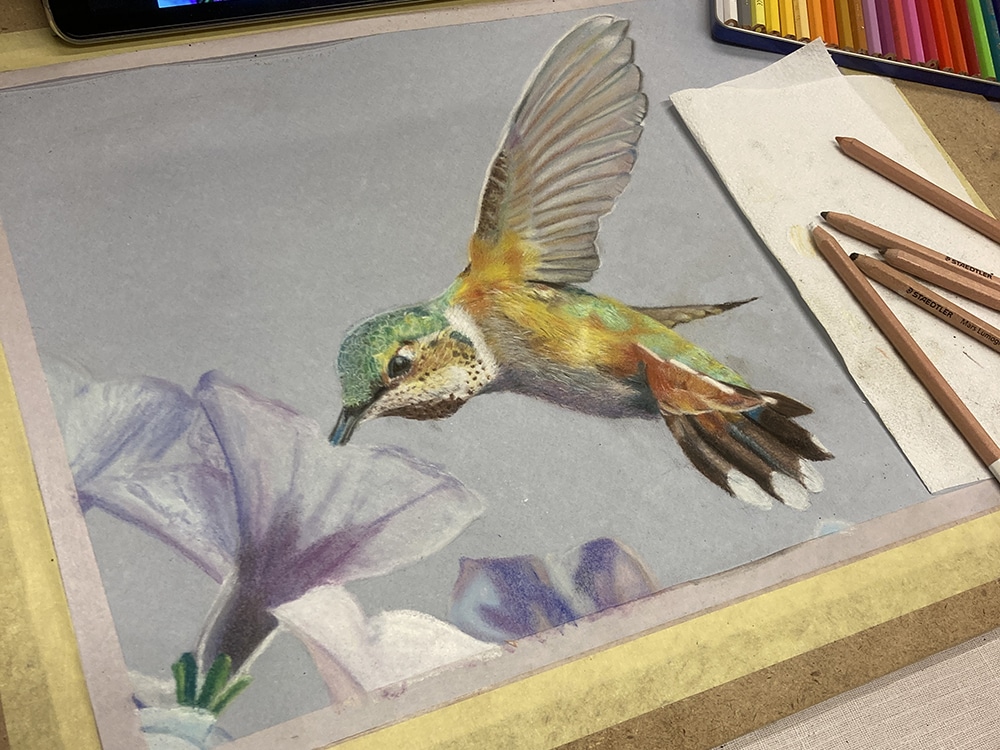 Colibrí