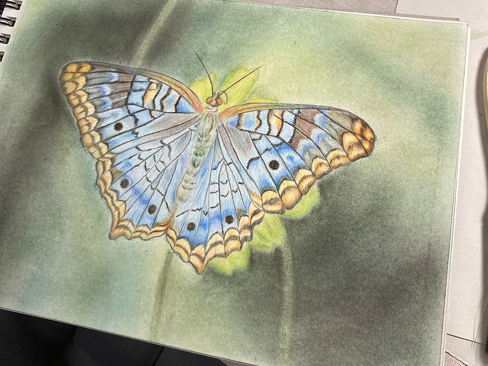 Mariposa